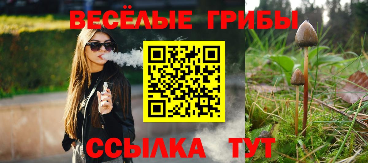 Псилоцибиновые грибы мухоморы  Вход с VPN  Малгобек 